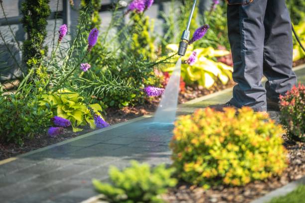 Best Fence Cleaning  in Crosbyton, TX